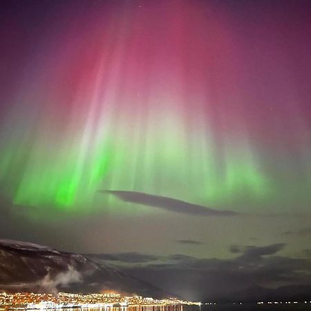 Rom Sentralt I Tromso Apartment Bagian luar foto
