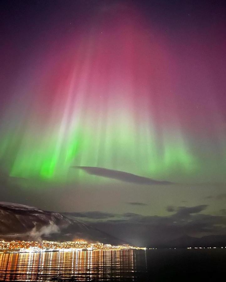 Rom Sentralt I Tromso Apartment Bagian luar foto
