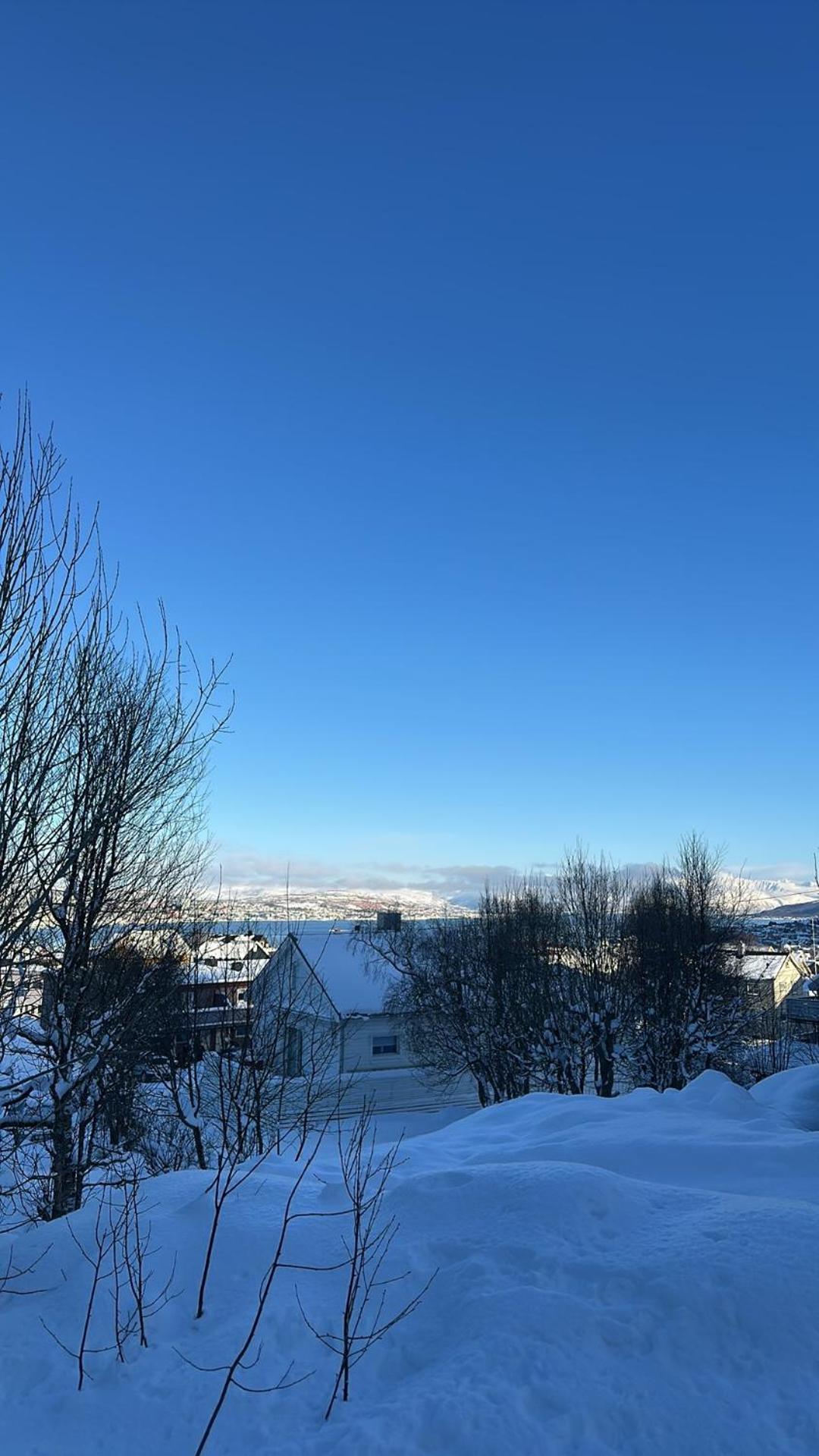 Rom Sentralt I Tromso Apartment Bagian luar foto